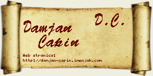 Damjan Ćapin vizit kartica